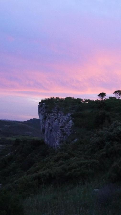 Bed and Breakfast Mas Serre Plume Saint-Bauzille-de-Montmel Exterior foto