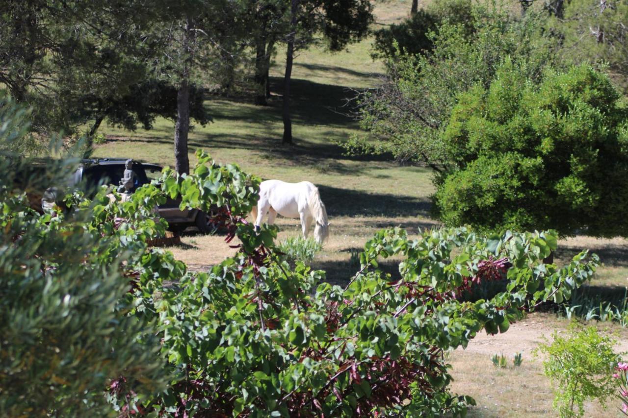 Bed and Breakfast Mas Serre Plume Saint-Bauzille-de-Montmel Exterior foto